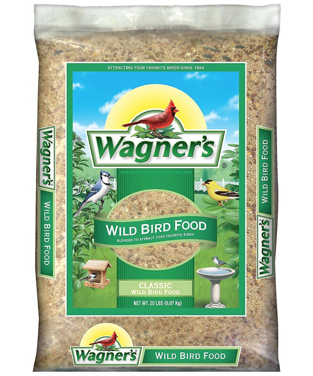 wild bird - Image 2